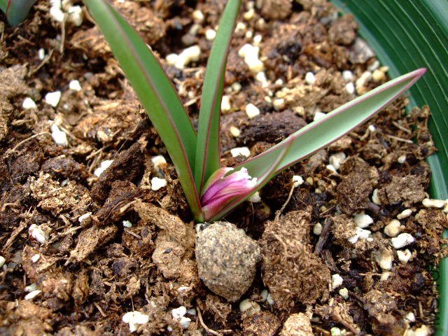 DSCF0558.JPG