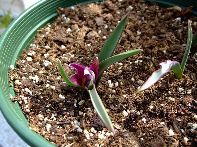 DSCF0676.JPG