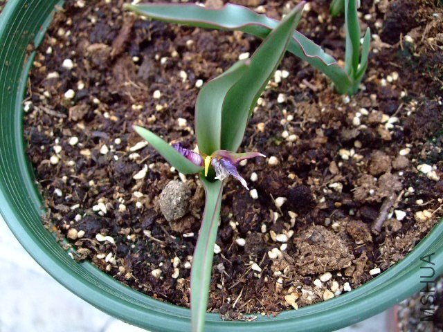 DSCF0718.JPG