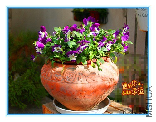 ��Ƭ 014_����.jpg