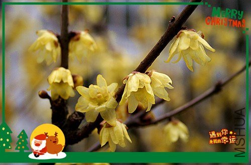 ��Ƭ 084_����.jpg