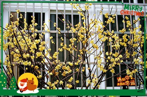 ��Ƭ 082_����.jpg