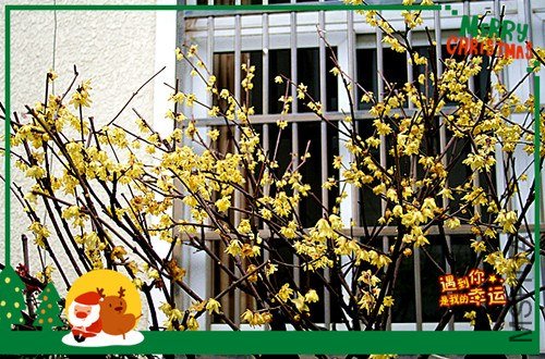 ��Ƭ 083_����.jpg