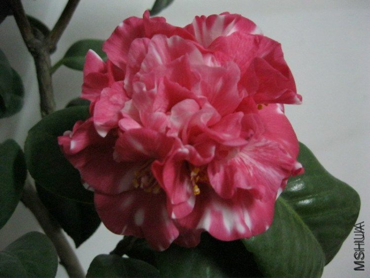 ��Ƭ 067_��С��С[1].jpg