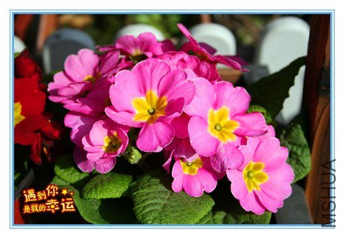 ��Ƭ 052_����.jpg