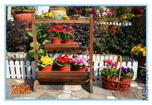 ��Ƭ 045_����.jpg