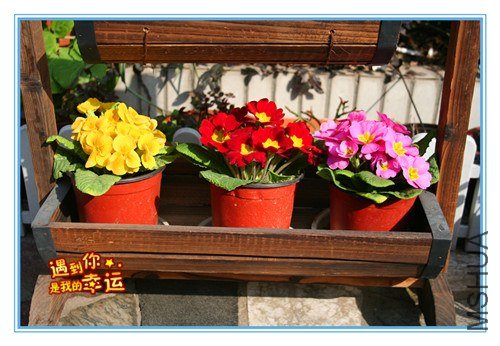 ��Ƭ 046_����.jpg