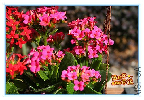 ��Ƭ 049_����.jpg