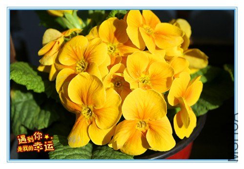 ��Ƭ 050_����.jpg