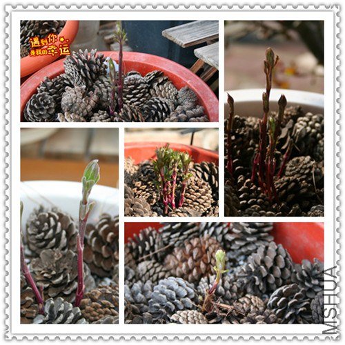 ��Ƭ 028_����.jpg