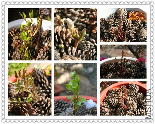 ��Ƭ 018_����.jpg