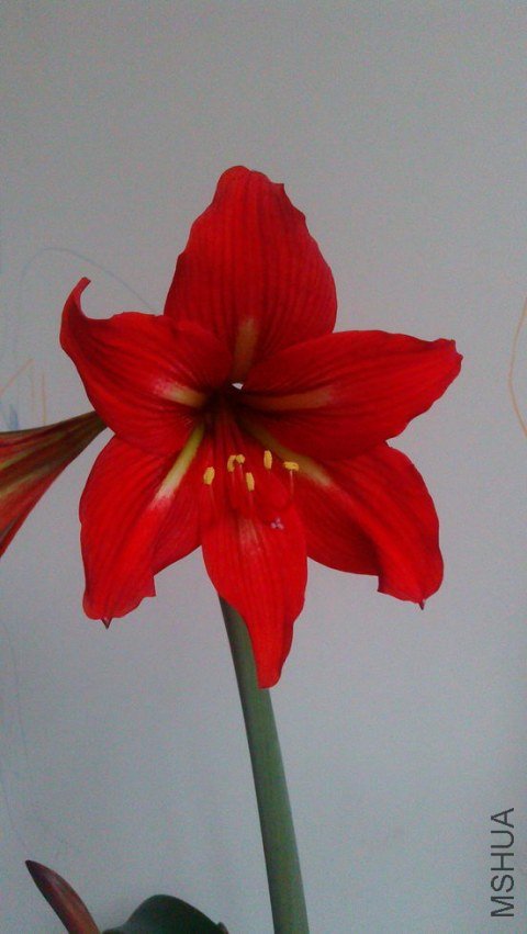 IMAG0488_������С.jpg