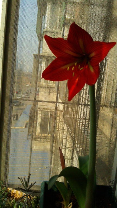 IMAG0484_������С.jpg