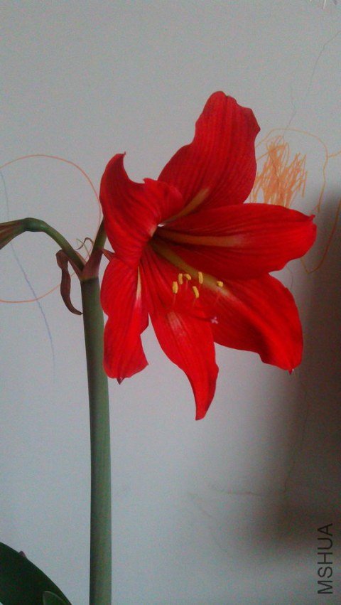 IMAG0487_������С.jpg