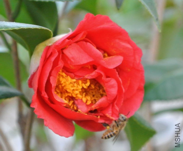 DSC_0647_1.jpg