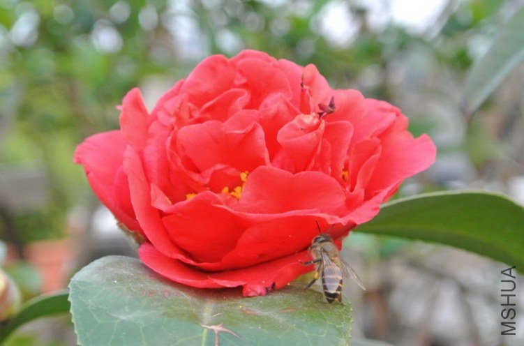 DSC_0640_1.jpg