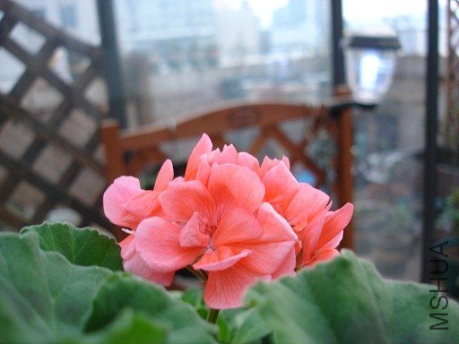 DSC01225.JPG