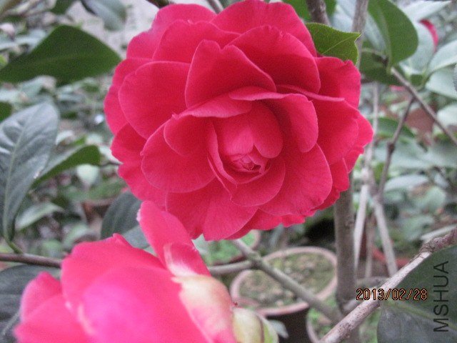 IMG_5017.jpg