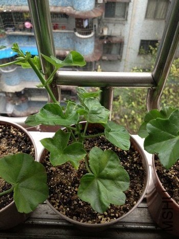 ����õ��û������������ˮ��