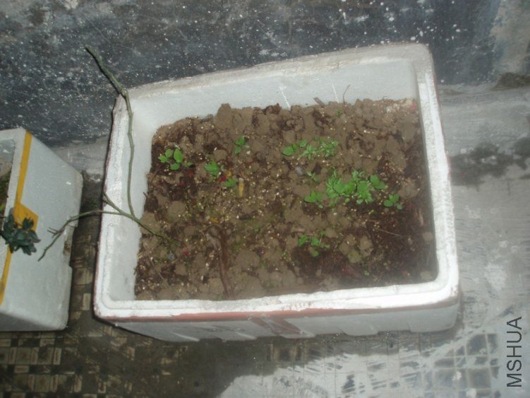 554030.jpg