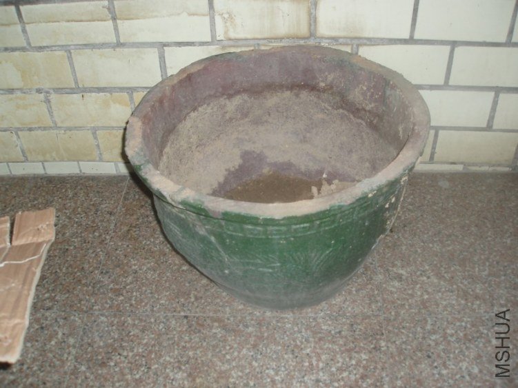 5037.jpg