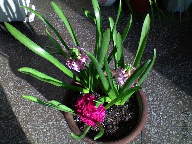 DSC00123.JPG