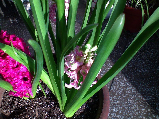 DSC00125.JPG