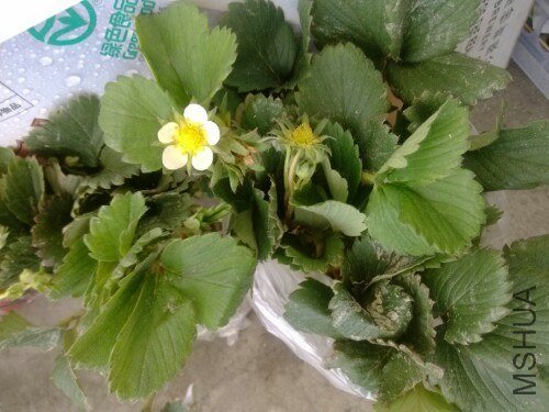 IMG20130303150047.jpg