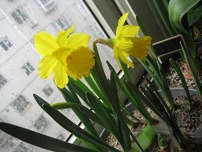 IMG_4633.JPG