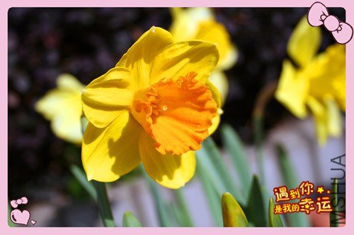 ��Ƭ 091_����.jpg