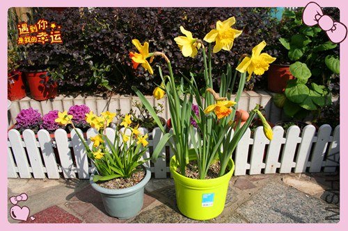 ��Ƭ 082_����.jpg