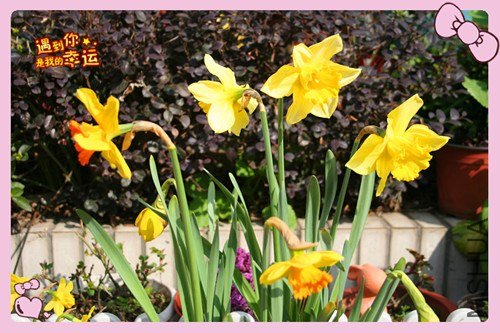 ��Ƭ 084_����.jpg