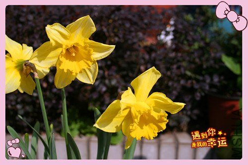 ��Ƭ 086_����.jpg