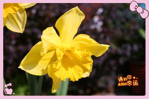 ��Ƭ 088_����.jpg