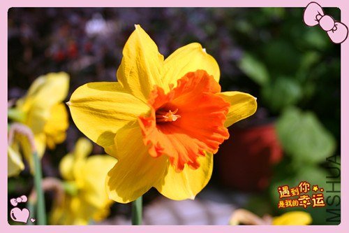 ��Ƭ 089_����.jpg