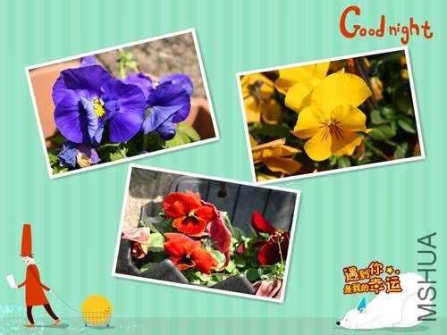 ��Ƭ 072_����.jpg