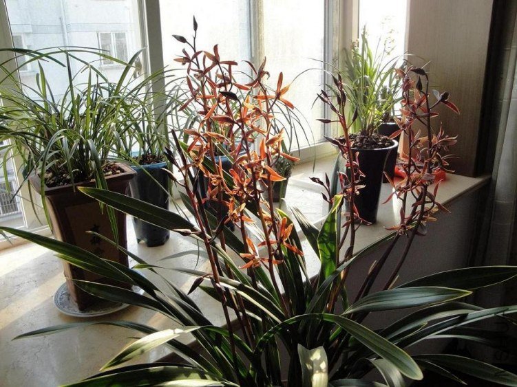 ī����ɽ����ĺ��㣬��ζ�������ź����