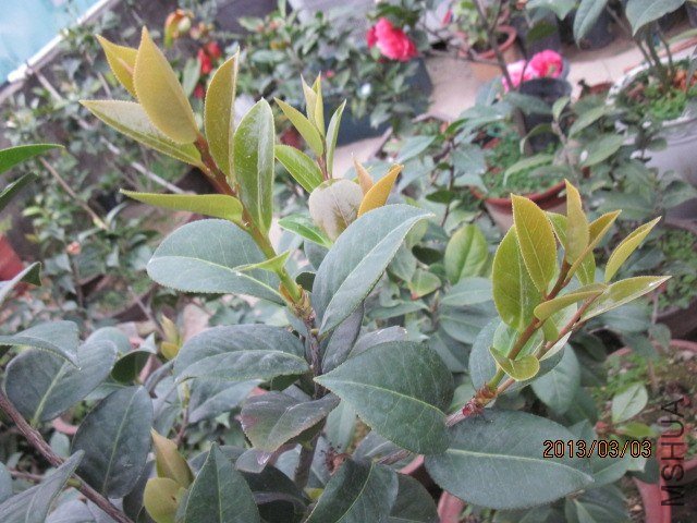 IMG_5085.jpg