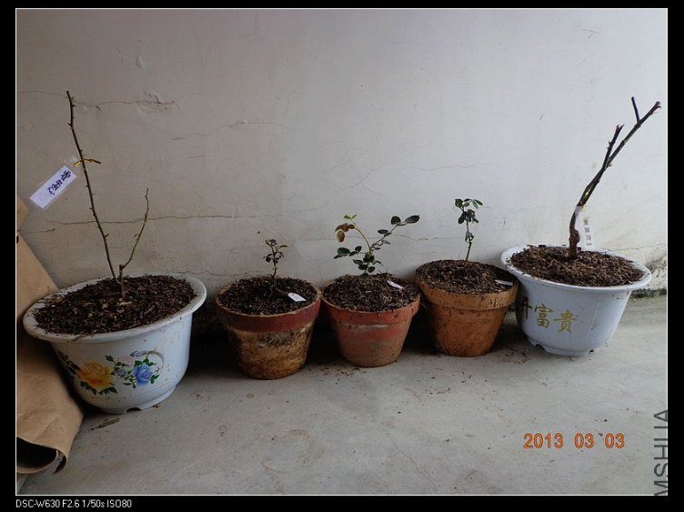 nEO_IMG_DSC02136.jpg