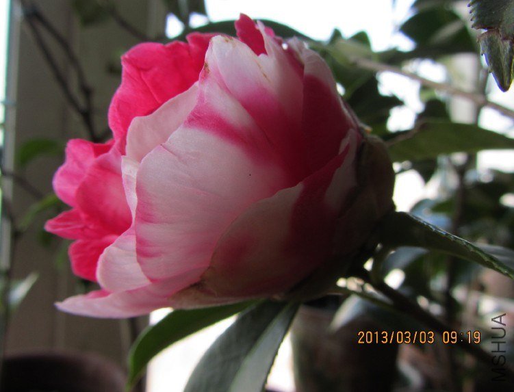 IMG_0057.JPG
