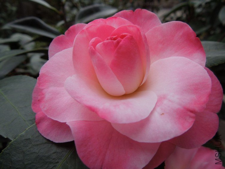 DSCN3009.JPG