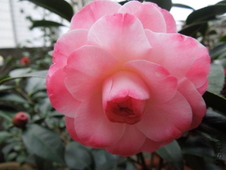 DSCN3010.JPG