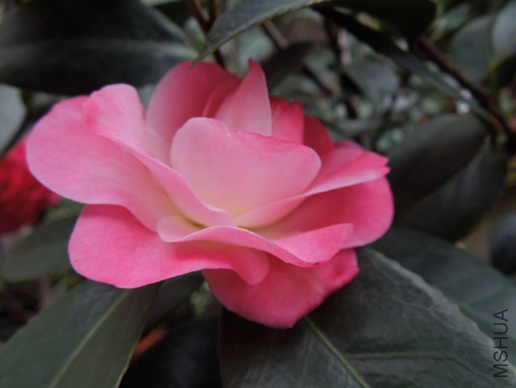 DSCN3026.JPG