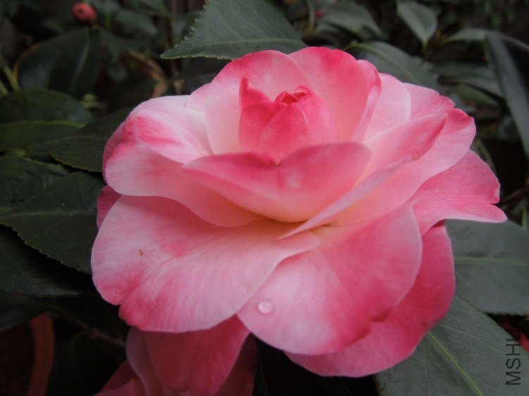 DSCN3034.JPG