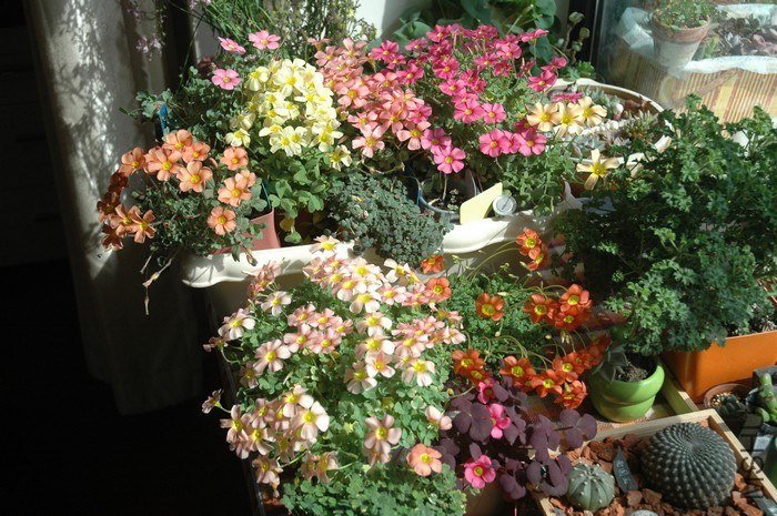 nEO_IMG_DSC_9393.jpg