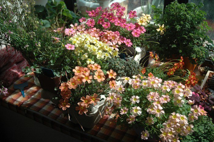 nEO_IMG_DSC_9394.jpg