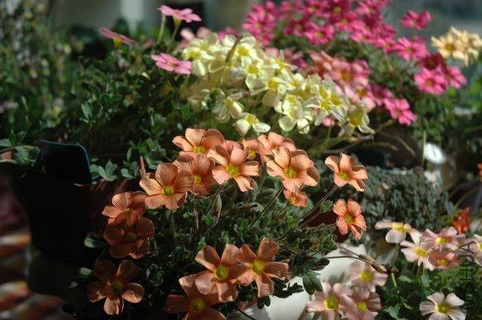 nEO_IMG_DSC_9395.jpg