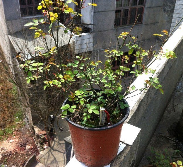 QQ��ͼ20130304150649.jpg