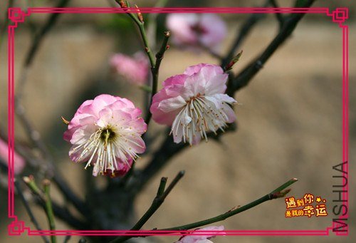 ��Ƭ 041_����.jpg