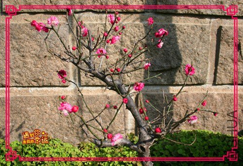 ��Ƭ 034_����.jpg